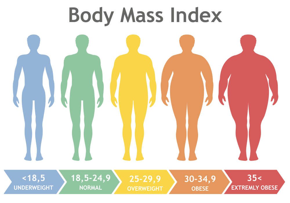 Chỉ số BMI giúp nhận định mức độ gầy béo